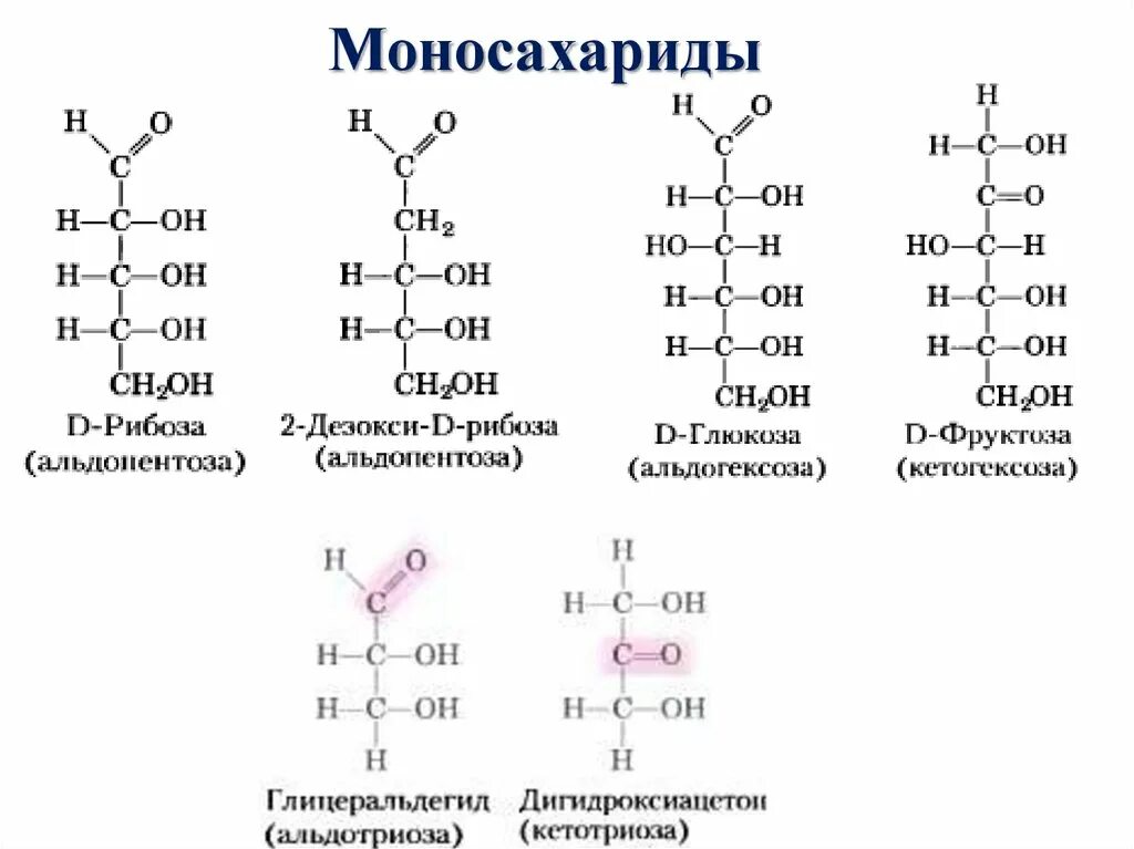 Рибоза какой углевод. Химическое строение моносахаридов. Формула моносахарида в химии. Общая формула моносахаридов. Формулы важнейших моносахаридов.