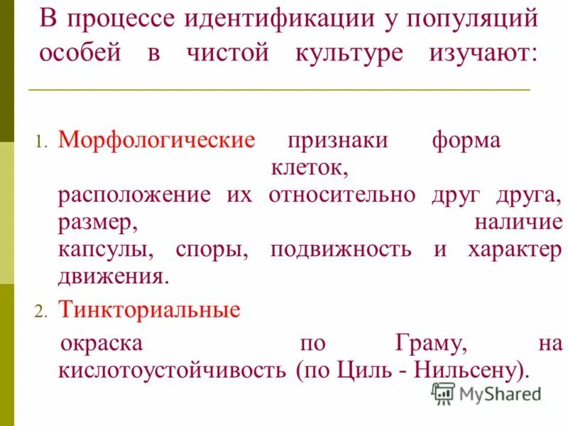 разбор прилагательного 3 цифра 5 класс. что значит морфологический разбор слова 3 класс. план морфологического разбора прилагательных. схема морфологического разбора прилагательного 5 класс. чистый морфологический.