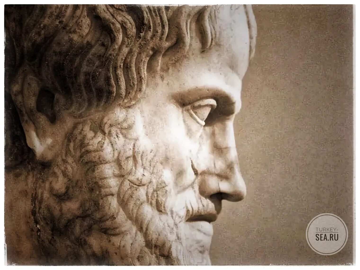 Аристотель портрет. Аристотель древнегреческий философ. Аристотель 384-322 до н.э. Древняя Греция Аристотель.