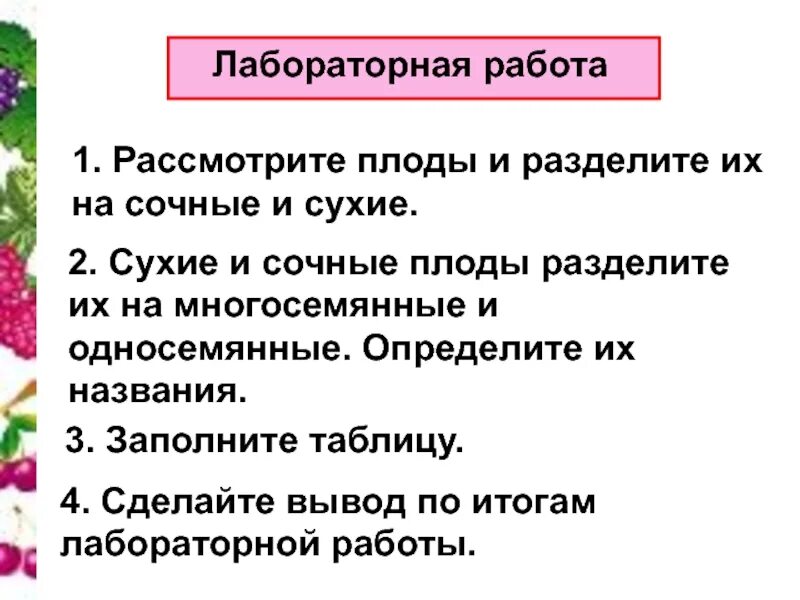 Выполните лабораторную работу классификация плодов