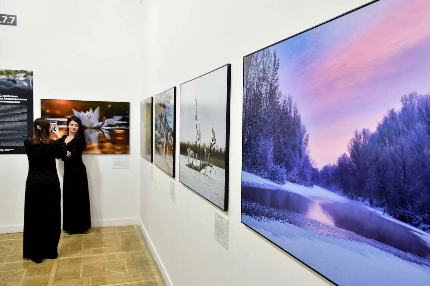 Цдх первозданная россия. Выставка фотографий. Фотовыставка Россия. Фотовыставка Первозданная Россия 2023 в Москве. Фотовыставка Первозданная Россия в Москве 2022 г..