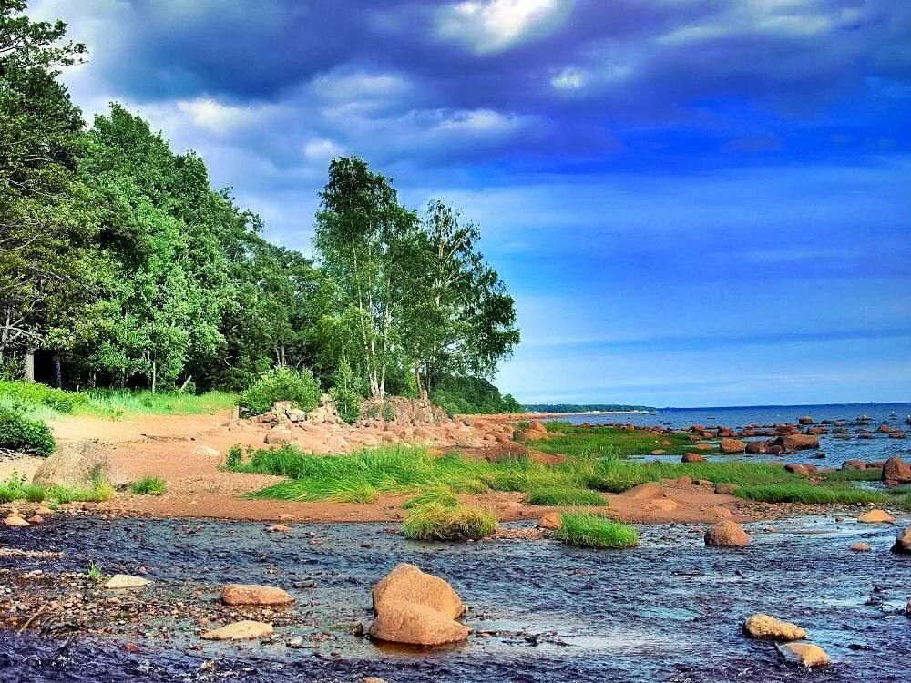 пляж в сестрорецке на финском заливе. репино финский залив. побережье финляндии. репино камни залив. питер финский залив репино.