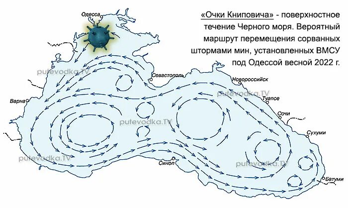 Направление течения рыбы определяют. Течения в черном море очки Книповича. Очки Книповича в черном море. Карта течений черного моря. Схема течений в черном море.