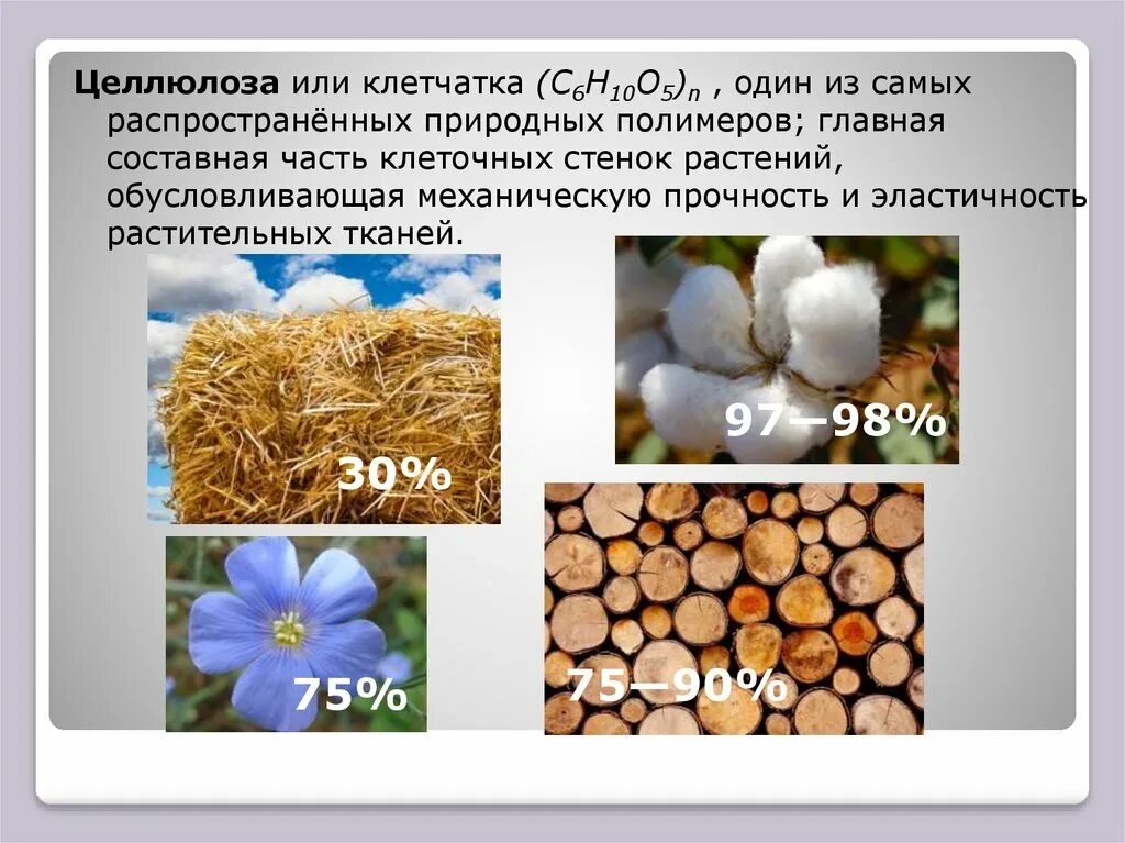 Презентация крахмал и целлюлоза как природные полимеры. Целлюлоза Главная составная часть. Целлюлоза природный полимер. Целлюлоза или клетчатка. Клетчатка полимер.