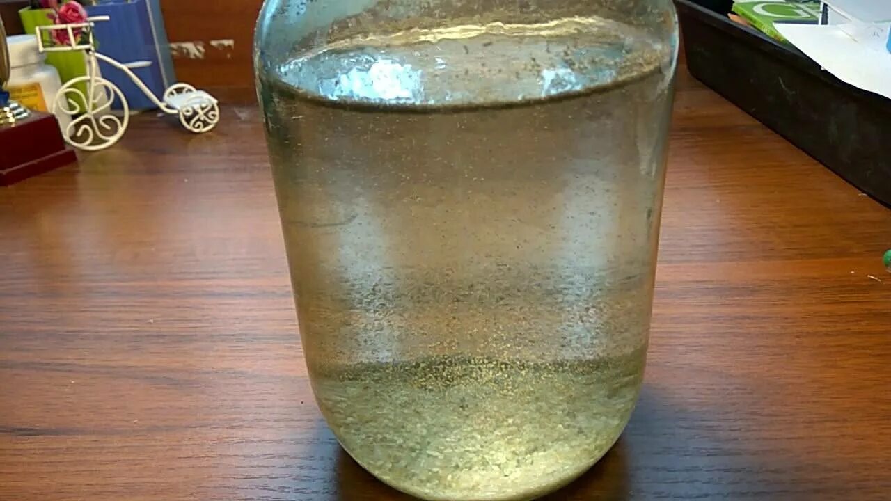 Живых рачков artemia. Артемия в аквариуме. Артемия в банке. Вырастить цисты артемии. Жаброног артемия пресноводные.