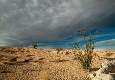 Desert weathering