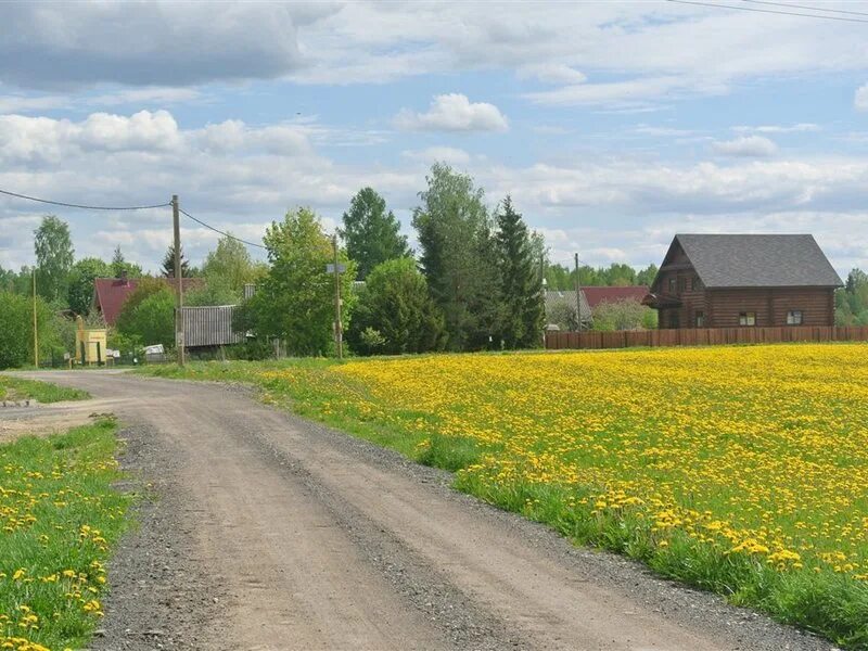 Шарнавка выксунский район. Святые источники в троснянском районе орловской области. Деревня расположенная перед. Хозяин фермы в д. Деревня моисеевичи валдайский район.