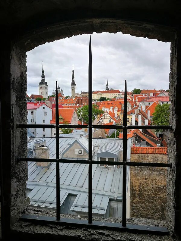 Открытые окна спб. Окно в Европу. Вид из окна Европа. Таллин вид из окна. Окна европейские окна.
