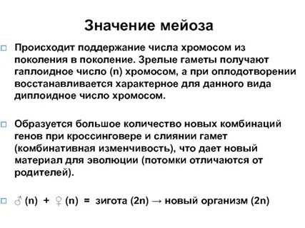 В результате мейоза происходит образование
