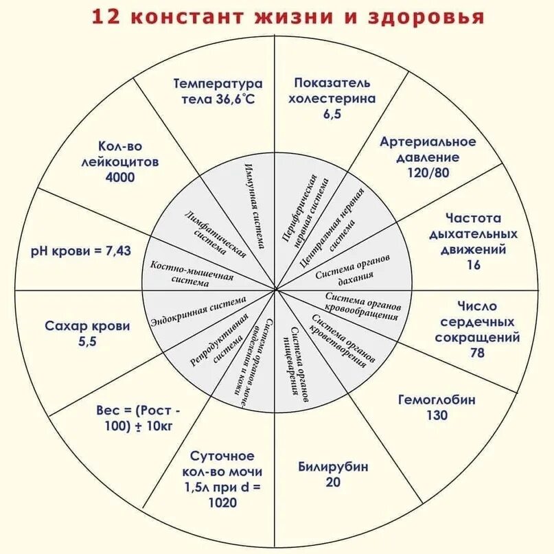 Курсовая работа: Физическая культура и здоровый образ жизни учащихся. Скачать бе