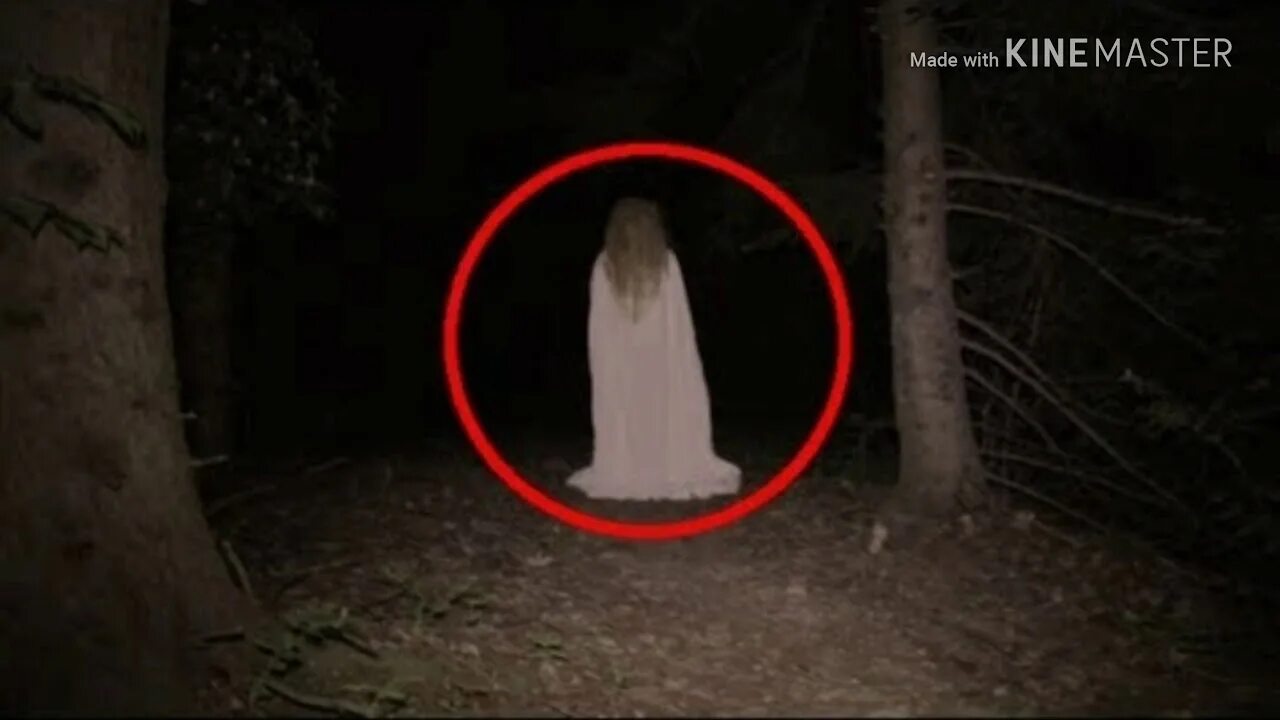 Каких приведений. Азиявидение. Каких приведений. Привидение. Приводнение.