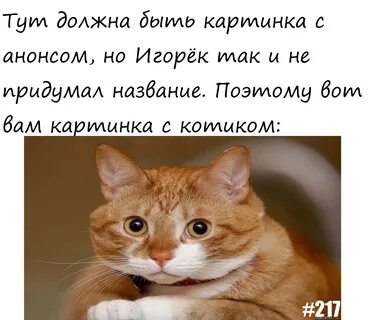 Назови подожди