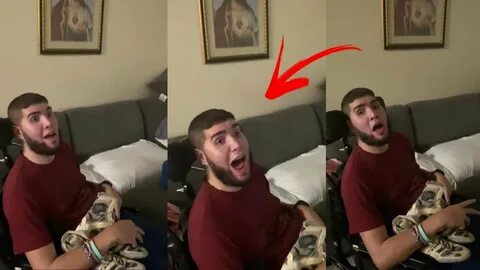 Бер колон
