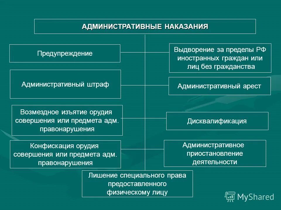 Виды мер процессуального обеспечения. Виды мер процессуального обеспечения