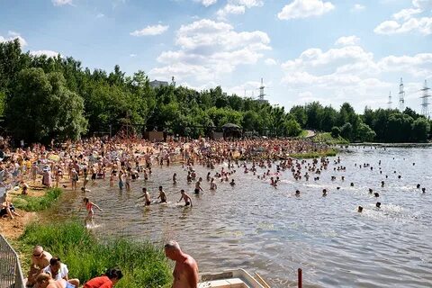 Пляжи москвы 2024 где можно купаться