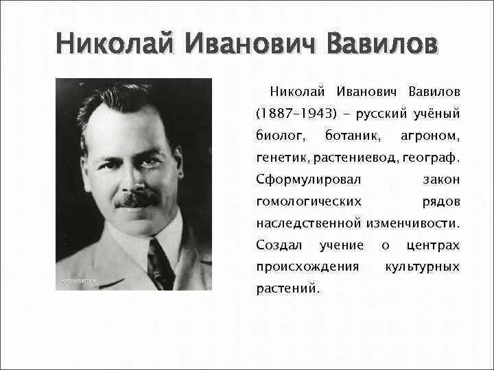 Николай вавилов биография личная жизнь Разговоры о важном. 6 февраля -День науки. Ломоносов. Дидактические материалы.