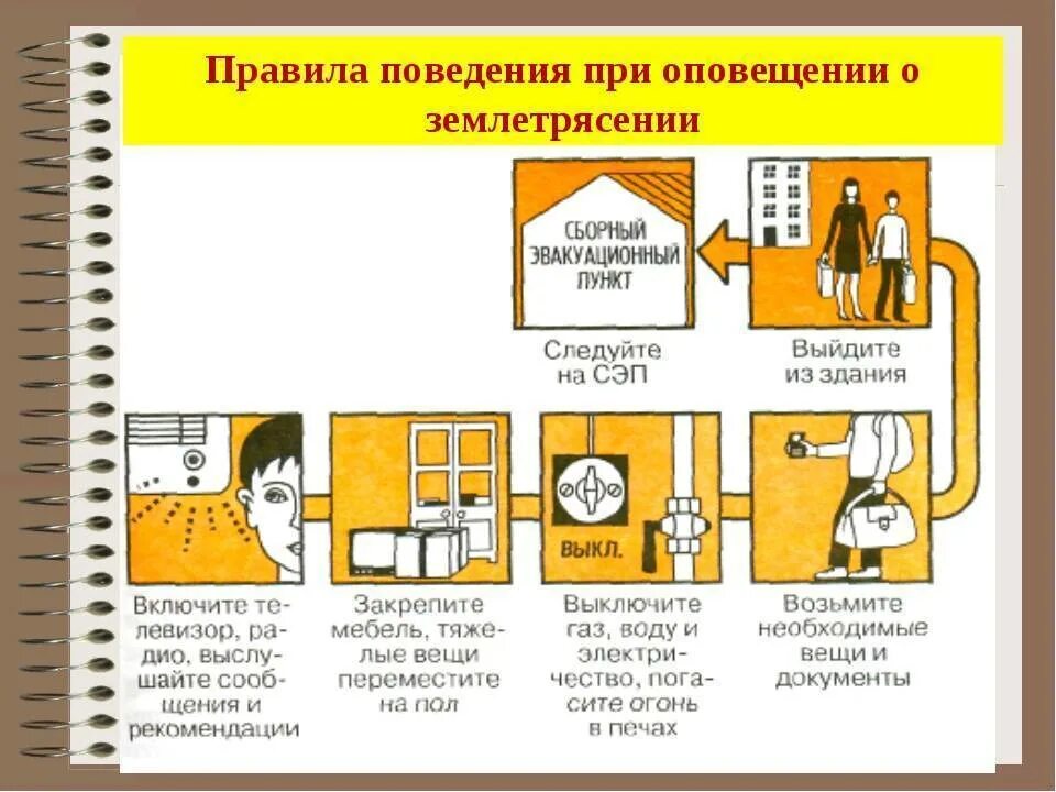 Алгоритм при землетрясении. Алгоритм действий при землетрясении. Правила поведения при землетрясении. Правило безопасности при землетрясении. Алгоритм поведения человека при землетрясении.