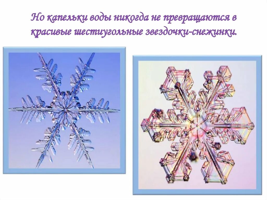 Капля воды превращается в снежинку. Проект Снежинка. Снежинки для презентации. Проект на тему снежинки. Рождение снежинки.