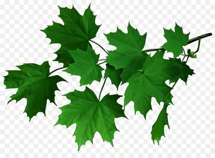 Whimscape leaves
