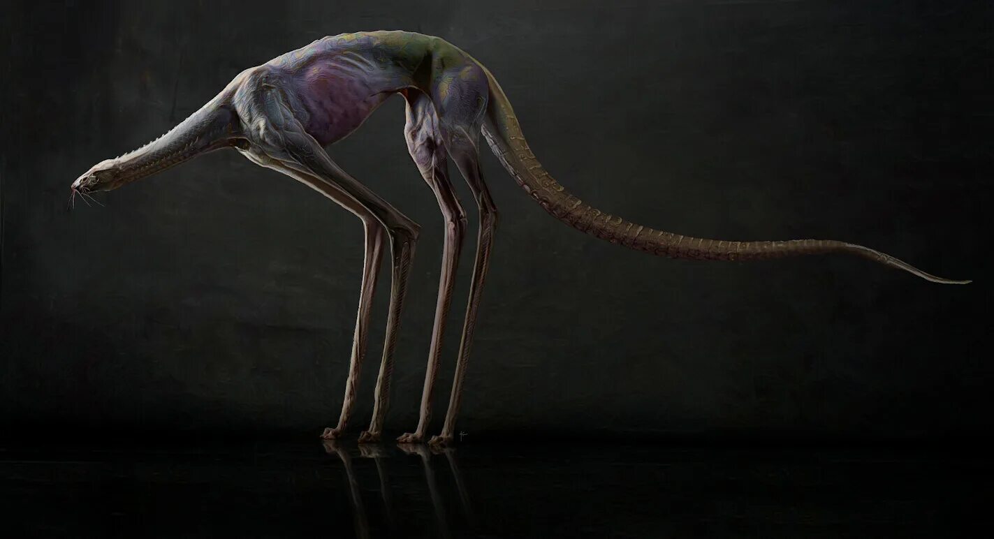 Some creature