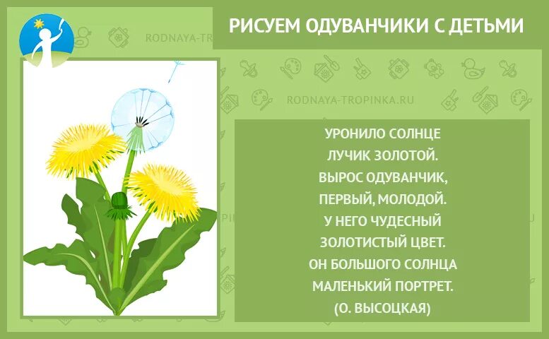 Одуванчик для детей. Одуванчик для дошкольников. Одуванчик картинка для детей. Одуванчик рисунок. Группа 1 одуванчики