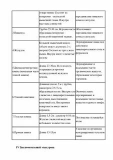 Системы человека и их функции таблица