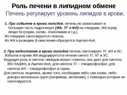 Азотистый обмен в печени