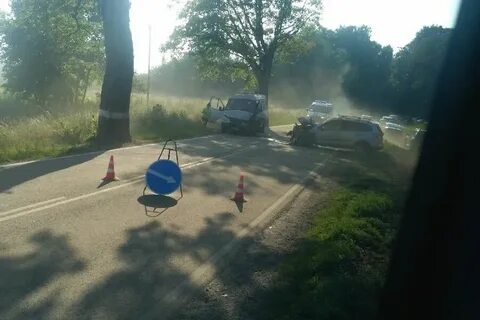 Погода кострово калининградская