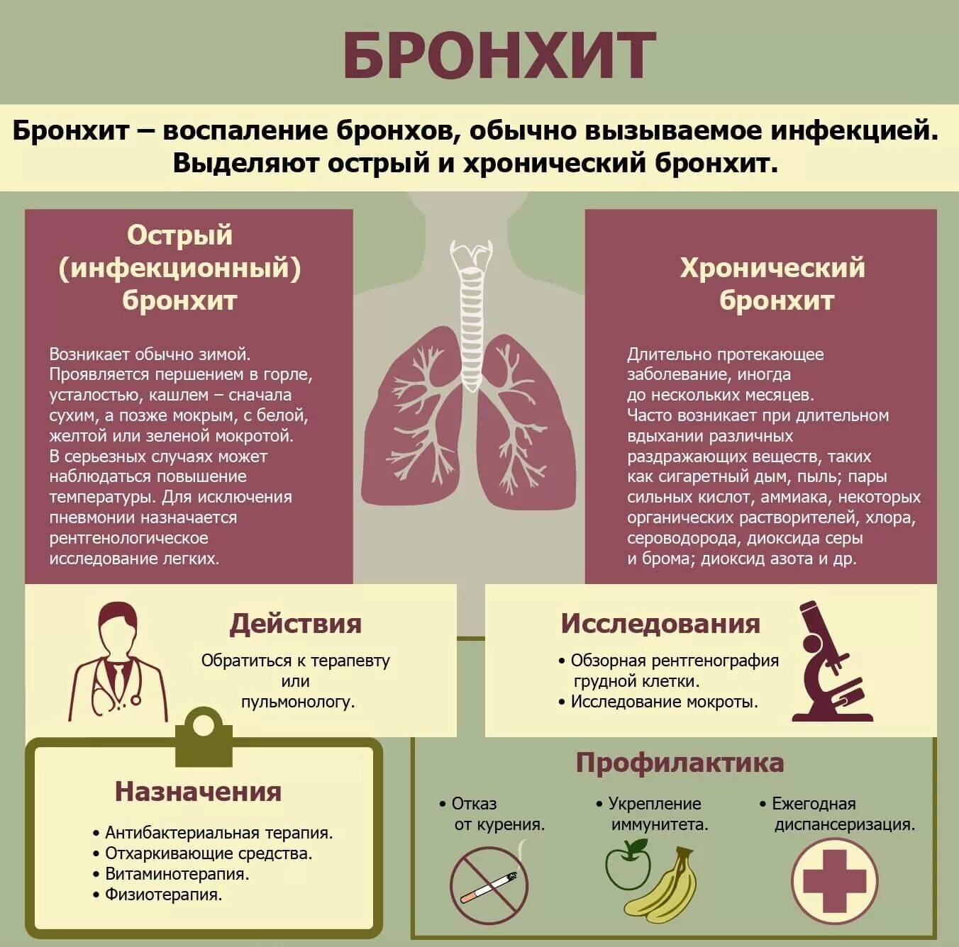 Тип дыхания при хроническом бронхите. При обструктивном бронхите поражаются. Основной симптом хронического бронхита. Клинические проявления при хроническом бронхите
