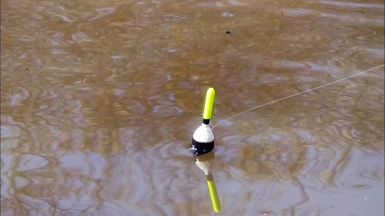 Ловля на поплавочную удочку на реке