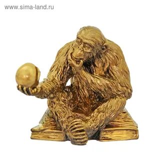 Год обезьяны камни