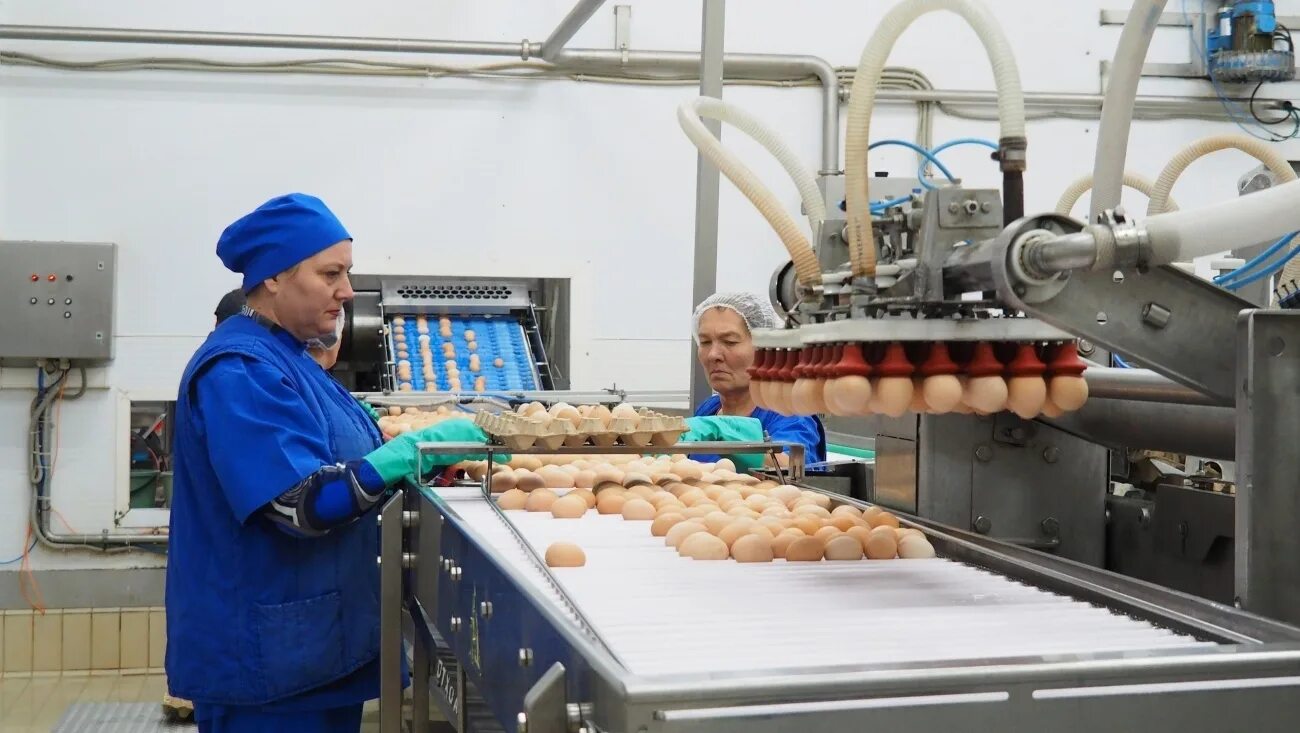 швейная фабрика рузаевка. рузаевка молодые. фотографии виты викторовны. подработка рузаевка. подработка рузаевка.