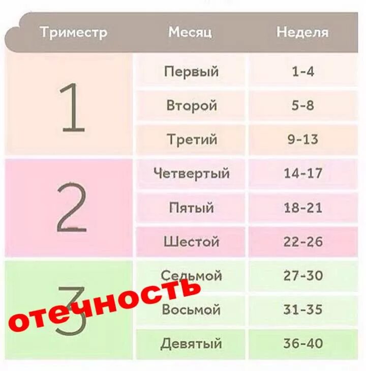 Начиная с 6 апреля. Триместры беременности по месяцам и неделям. Триместры беременности по неделям и месяцам таблица. Первый второй третий триместр беременности по неделям. Недели беременности по неделям и месяцам.