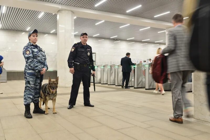 ЦКС на Московском метрополитене. Полиция УВД на Московском метрополитене. 5 Отдел полиции УВД на Московском метрополитене. Мвд россии метро