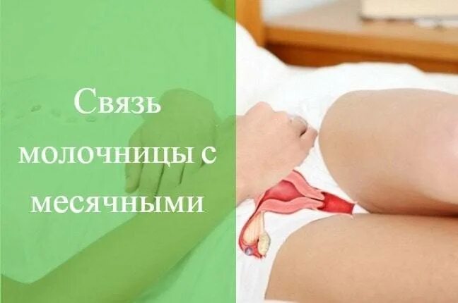 Можно ли лечить во время месячных. Молочница и задержка месячных. менструация с молочницей. при молочнице может быть задержка месячных.