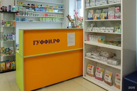 Ветлечебницы ижевска телефоны