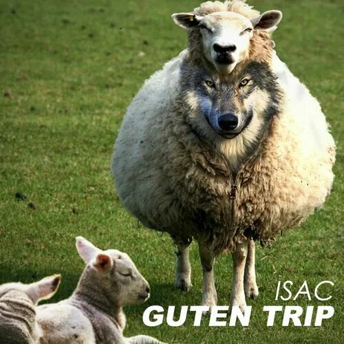 Sheep Among Wolves - American Anglican Council