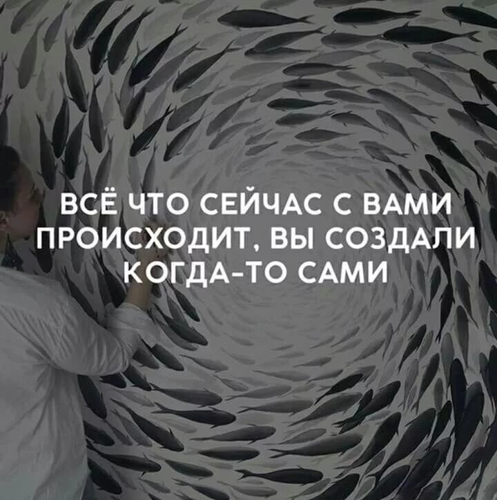 Жизнь которую мы создали. Все что с вами происходит вы создали когда-то сами. всё что происходит. все что происходит с вами сейчас. высказывание жадность порождает бедность.