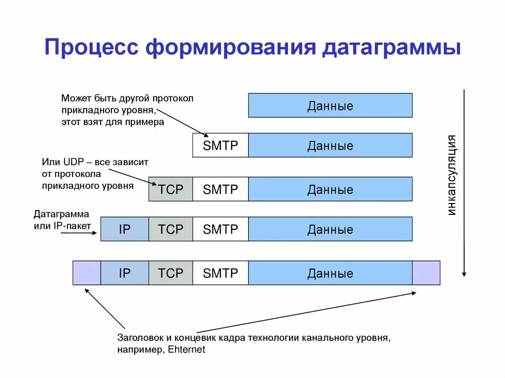 Структура пакета Ethernet TCP/IP. Пакет данных TCP IP. Стек протоколов TCP/IP. Канальный уровень TCP/IP Ethernet. В каком помещении осуществляется прием протоколов