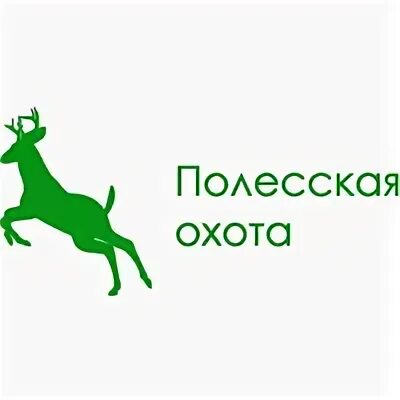 Полесье строительная фирма. Полесская компания. Полесье игрушки логотип. Полесская компания. Полесская компания.