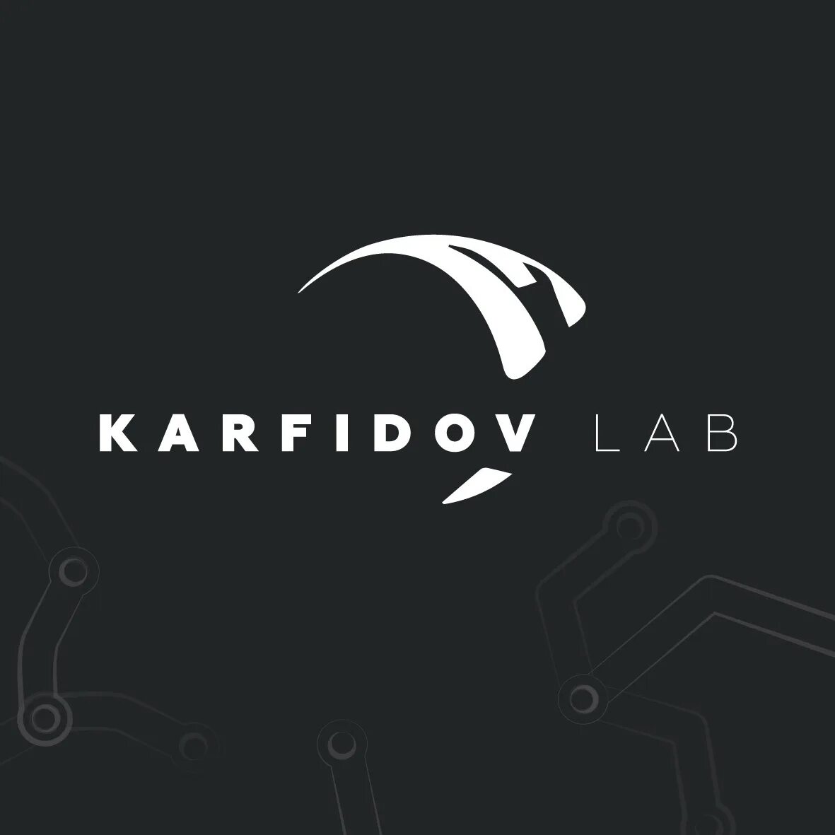 Дмитрий васильев карфидов лаб. Алексей карфидов дизайнер. Karfidov логотип. Карфидов алексей олегович мисис. Необычная лаборатория москва.