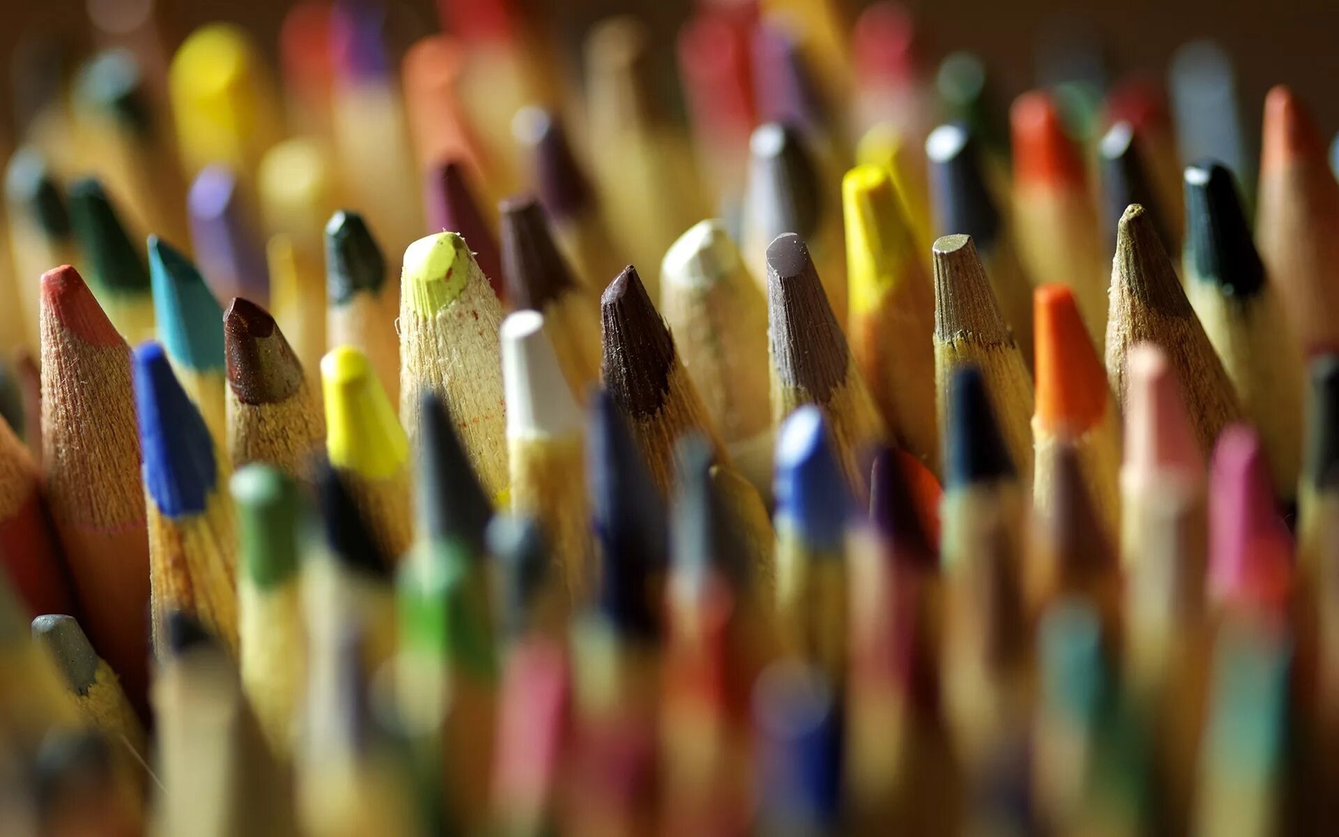 Pencils brushes. Много карандашей. Карандаши цветные. Карандаши и краски. Кисти и краски.