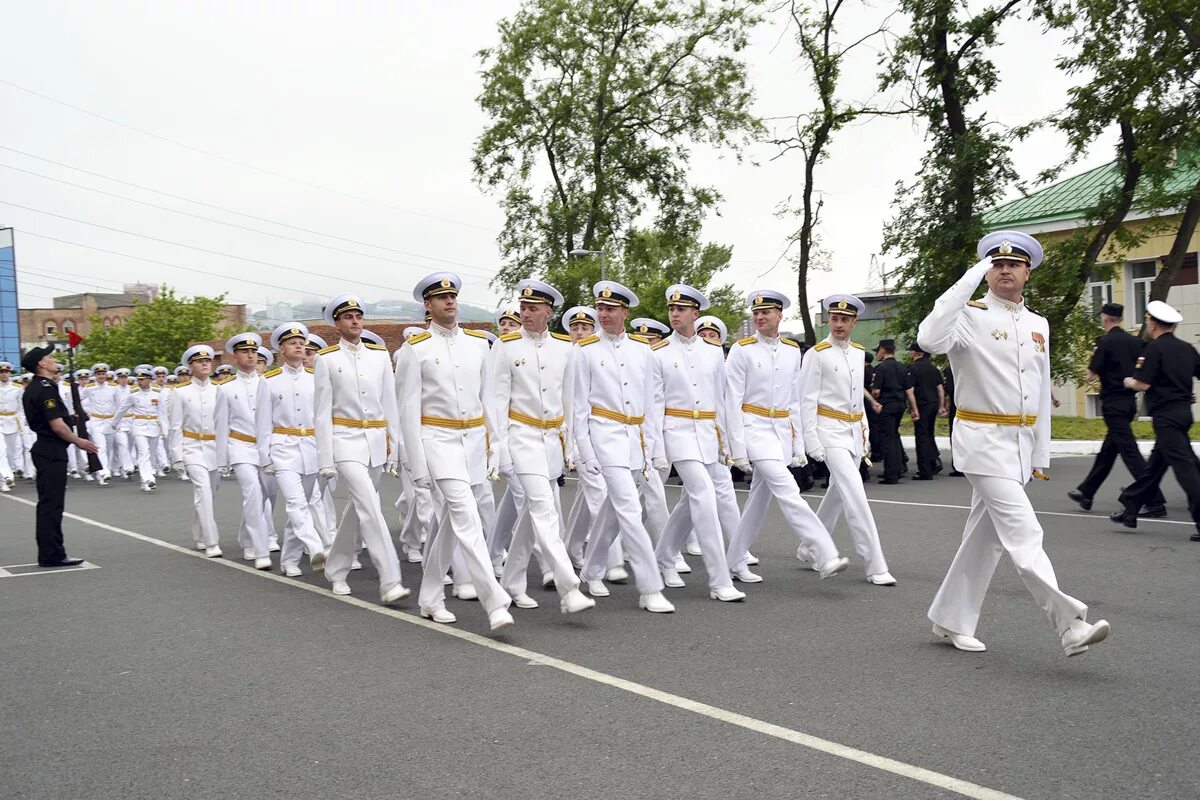 Парадная форма ТОВВМУ. Белая форма ВМФ Мичмана. ВМФ Мичман парадная. Форма ВМФ России офицеров и мичманов.