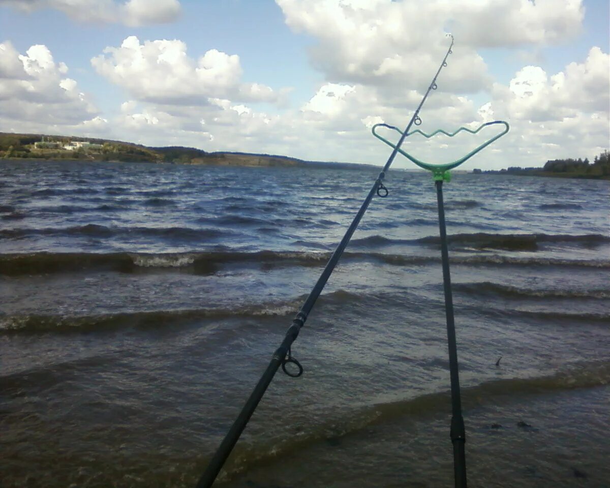 При ветре рыба клюет. Ветер для рыбалки. Ловля ветра. Рыбный ветерок. Ветер и рыбалка летом.
