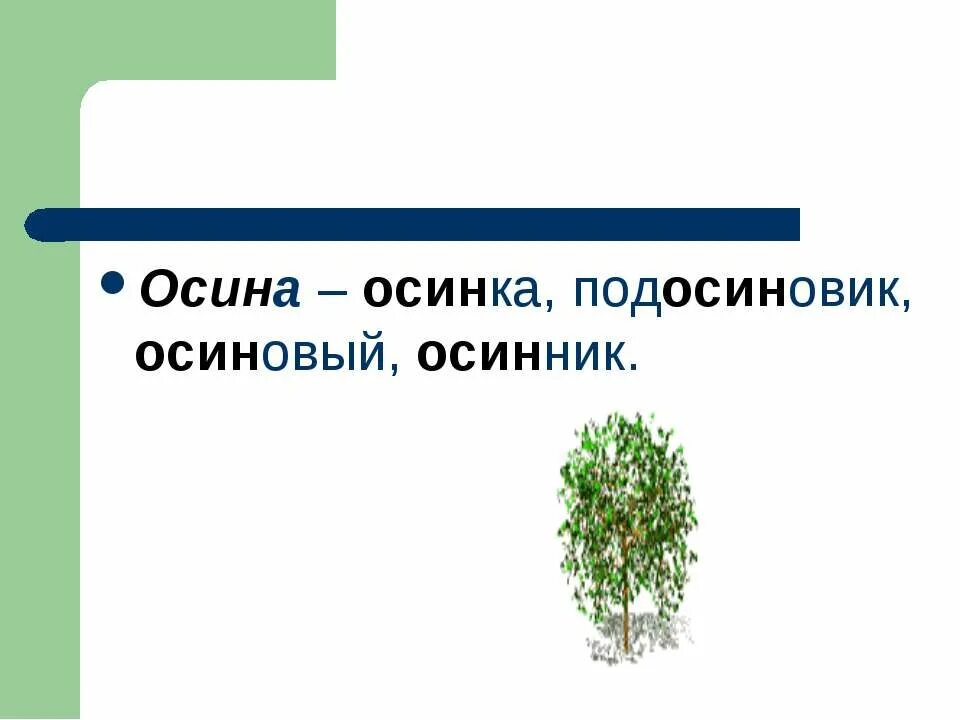 Однокоренные родственные слова. Осина однокоренные слова. Осина однокоренные слова 3 класс. Словарное слово осина. Осина осинник однокоренные слова.