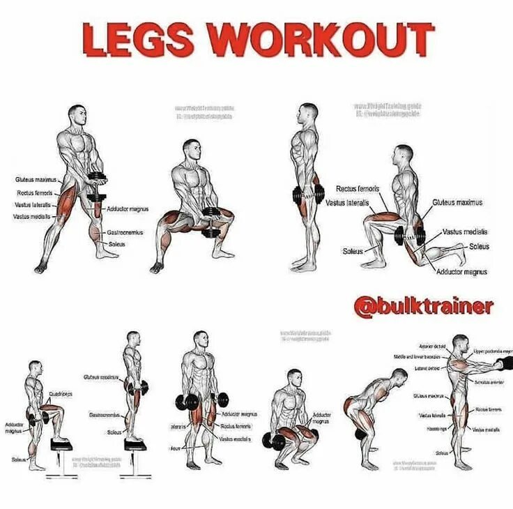 Leg workout. Тренировка ног. Силовые упражнения на ноги. Программа тренировок на ноги. Упражнения на ноги названия.