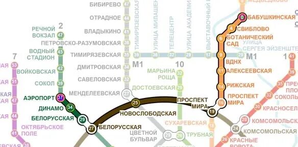 Как доехать от бабушкинской