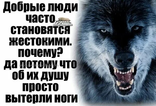 Стать из злого стать добрее