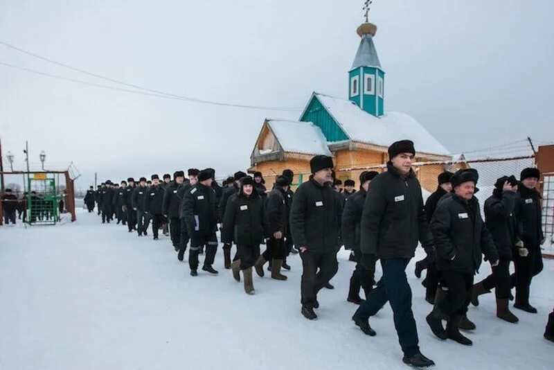 ИК-28 Архангельская область Ерцево. Ерцево ИК 28 колония строгого режима. Архангельская область поселок Ерцево ИК 28. Ерцево колония поселения Архангельская область. Исправительные учреждения особые условия