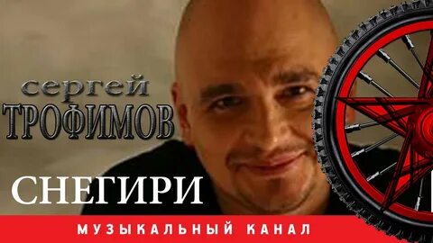 Песня снегири сергея